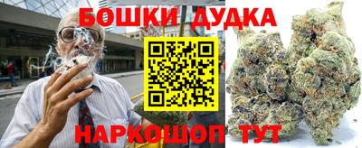гидра Новозыбков