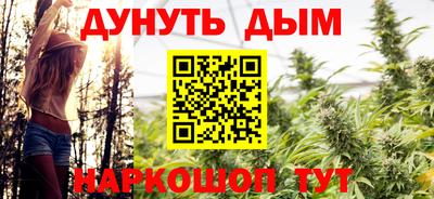 гидра Новозыбков