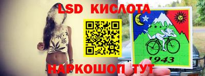 гидра Новозыбков
