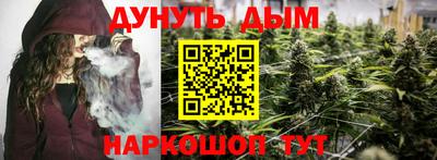 гидра Новозыбков