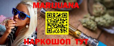 гидра Новозыбков